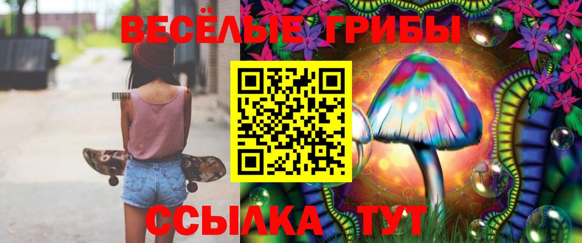 Калач-на-Дону  Галлюциногенные грибы Psilocybe  продажа наркотиков  Вход с VPN 