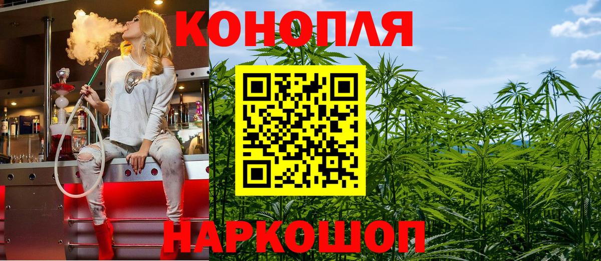 Бошки Шишки MAZAR Калач-на-Дону